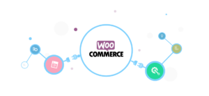 woocommerce plugin development services